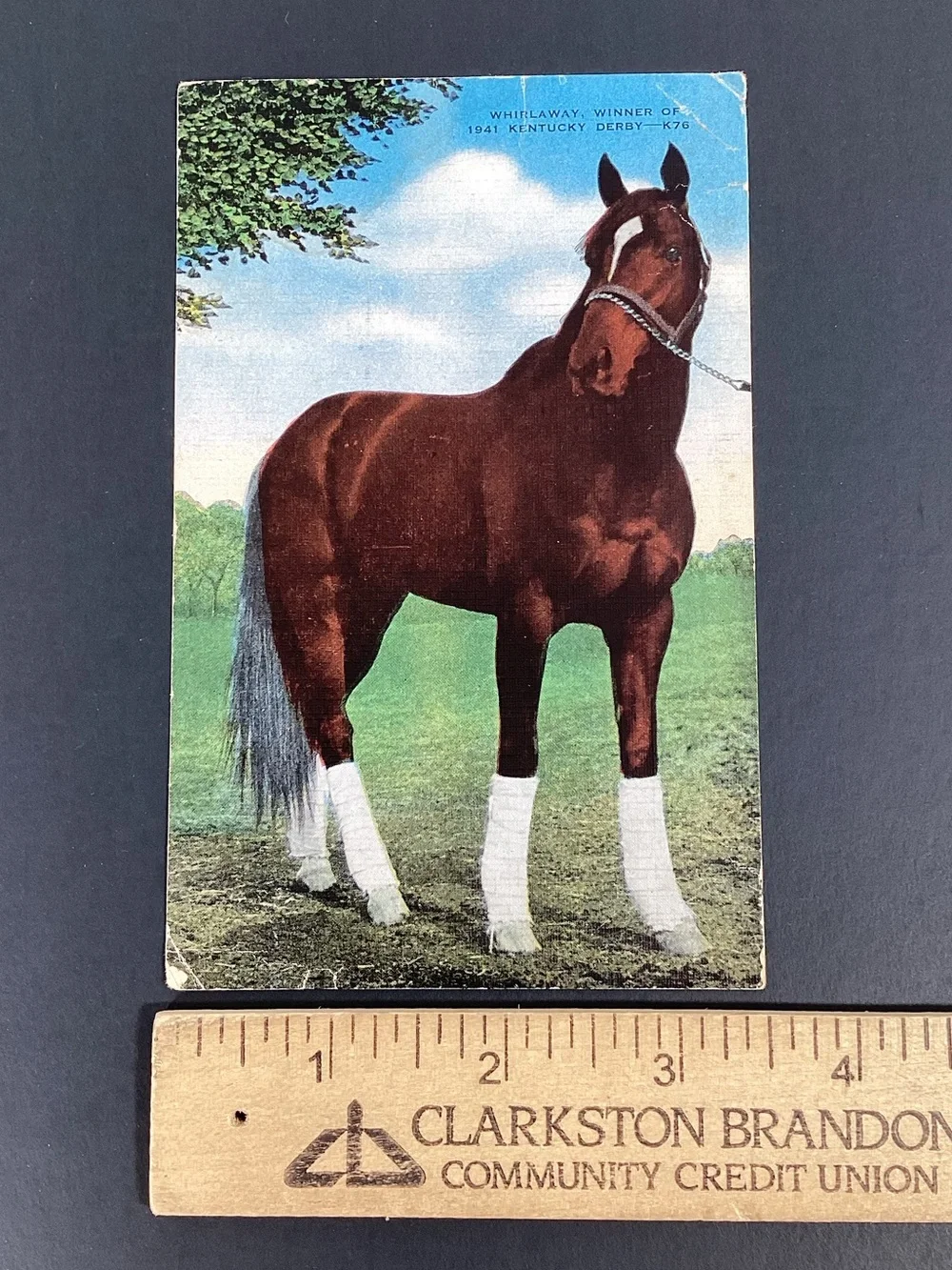 Kentucky Derby vintage postcard